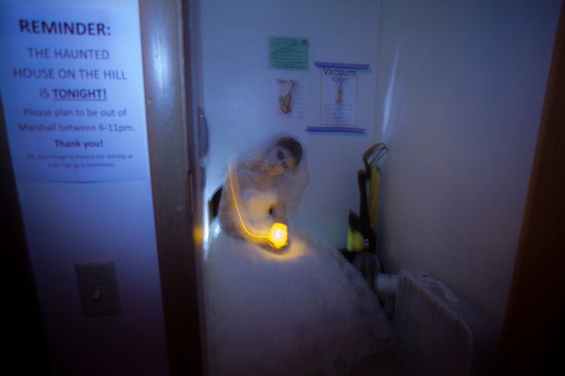 On the Edge - Marshall Hall Haunting