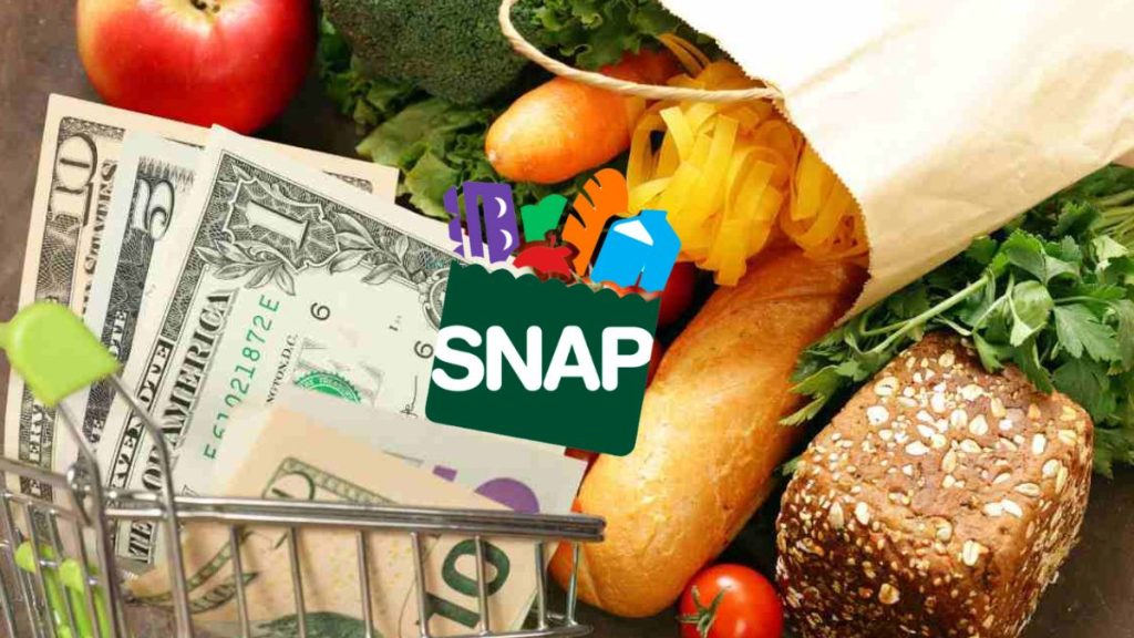 SNAP Texas April 2025: Who Will Get Their Food Stamp Payments Between April 14–20?
