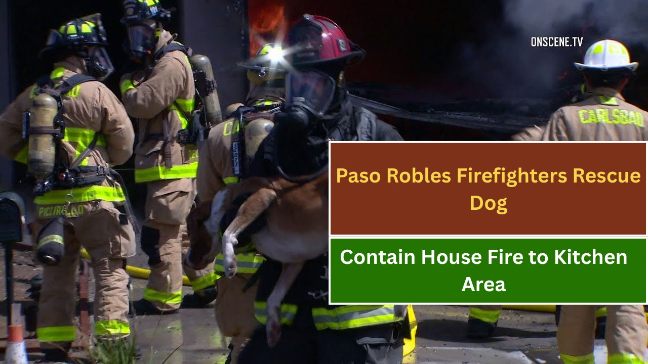 Paso Robles Firefighters Rescue Dog, Contain House Fire to Kitchen Area