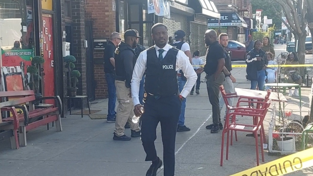 Police and ASPCA Raid Pet Grooming Business on East Gun Hill Road in Williamsbridge, No Arrests Reported