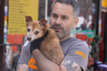 Police and ASPCA Raid Pet Grooming Business on East Gun Hill Road in Williamsbridge, No Arrests Reported