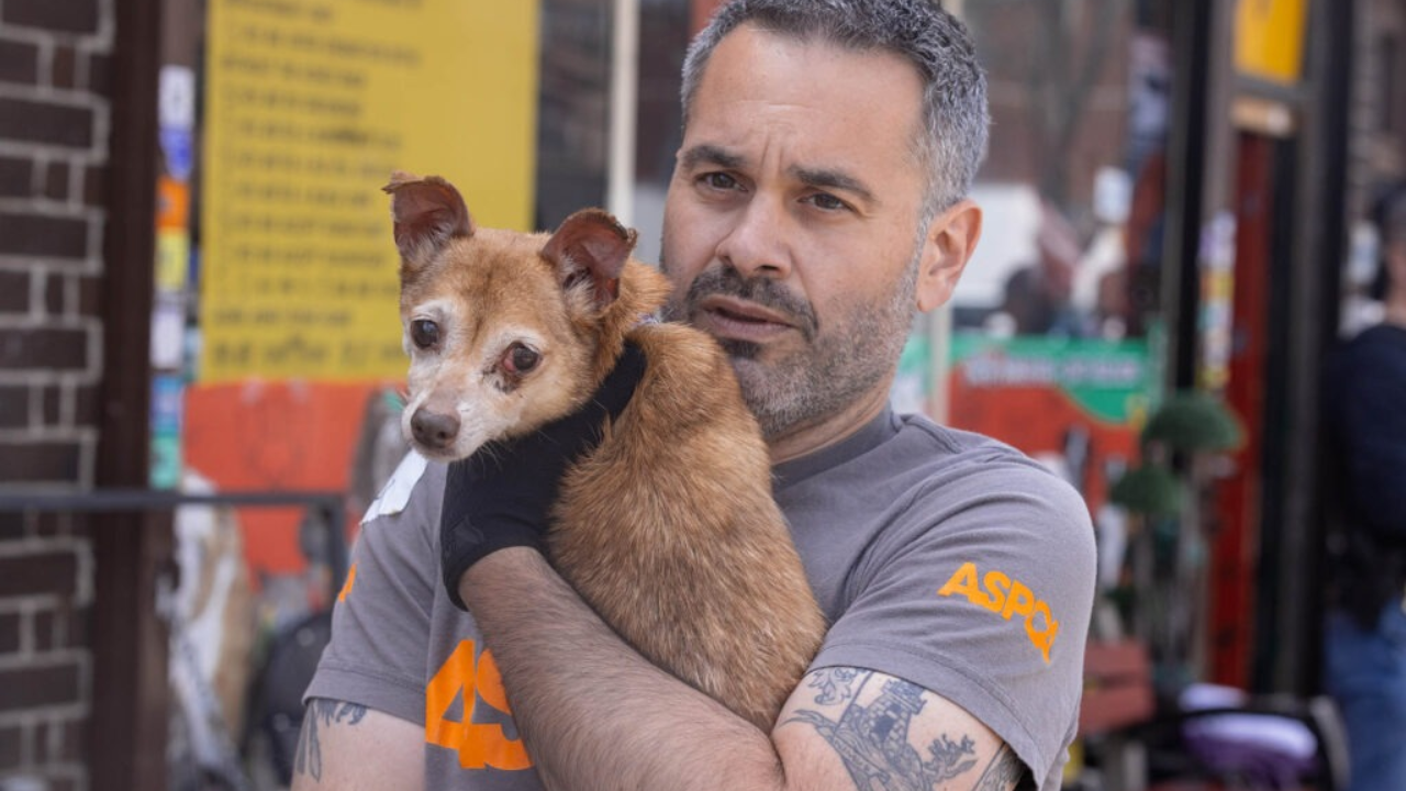 Police and ASPCA Raid Pet Grooming Business on East Gun Hill Road in Williamsbridge, No Arrests Reported