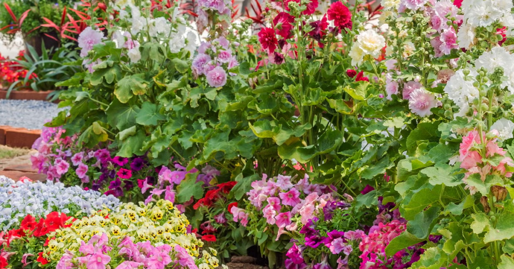 15 Easy Bulbs You Can Still Plant in May for Summer Color