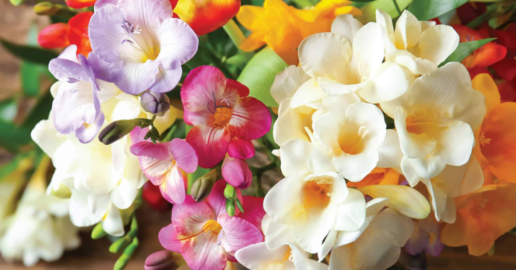 15 Easy Bulbs You Can Still Plant in May for Summer Color