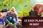 15 Easy Bulbs You Can Still Plant in May for Summer Color!