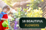 18 Beautiful Flowers That Bloom Even More the More You Snip Them