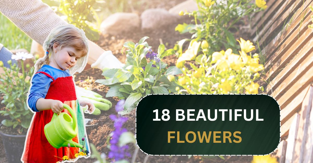18 Beautiful Flowers That Bloom Even More the More You Snip Them
