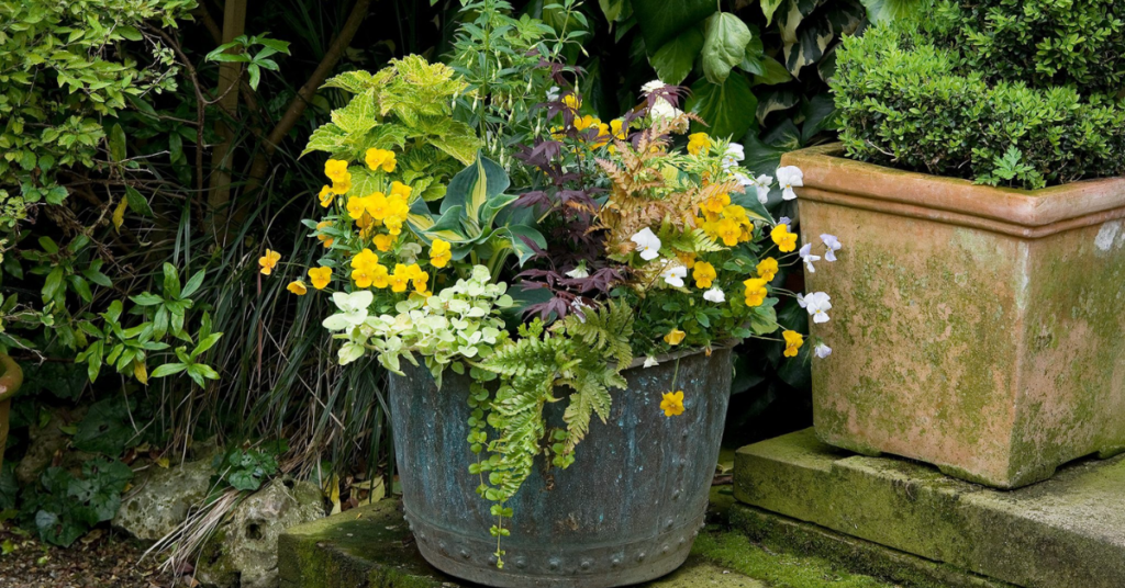 20 Most Beautiful Blue Perennials to Grow in Your Garden!