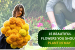 15 Beautiful Flowers You Should Plant in May
