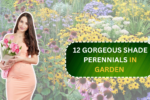 12 Gorgeous Shade Perennials That Will Beautify Your Garden Without Overcrowding!