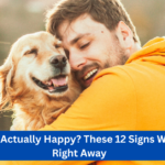Is Your Dog Actually Happy? These 12 Signs Will Tell You Right Away