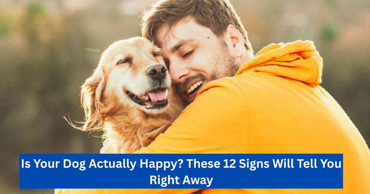 Is Your Dog Actually Happy? These 12 Signs Will Tell You Right Away