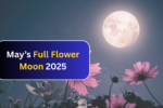 May’s Full Flower Moon 2025: What It Means for Your Zodiac Sign and How to Make the Most of It?