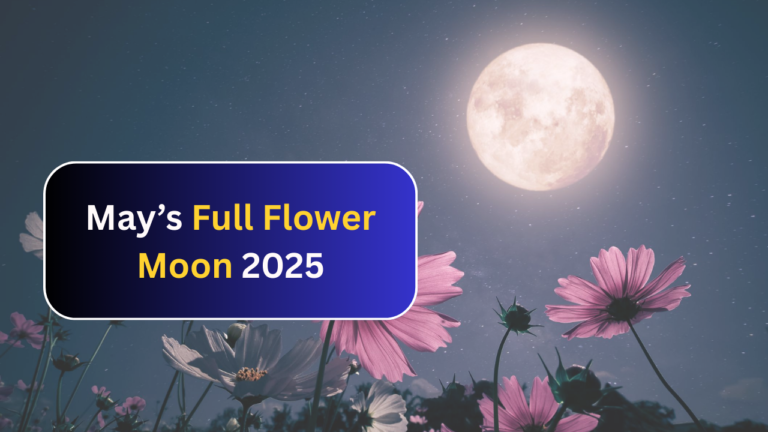 May’s Full Flower Moon 2025: What It Means for Your Zodiac Sign and How to Make the Most of It?