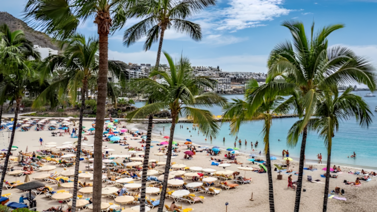 Tragedy Strikes: Woman Found Dismembered on Beach After Texting She Was Going to Party